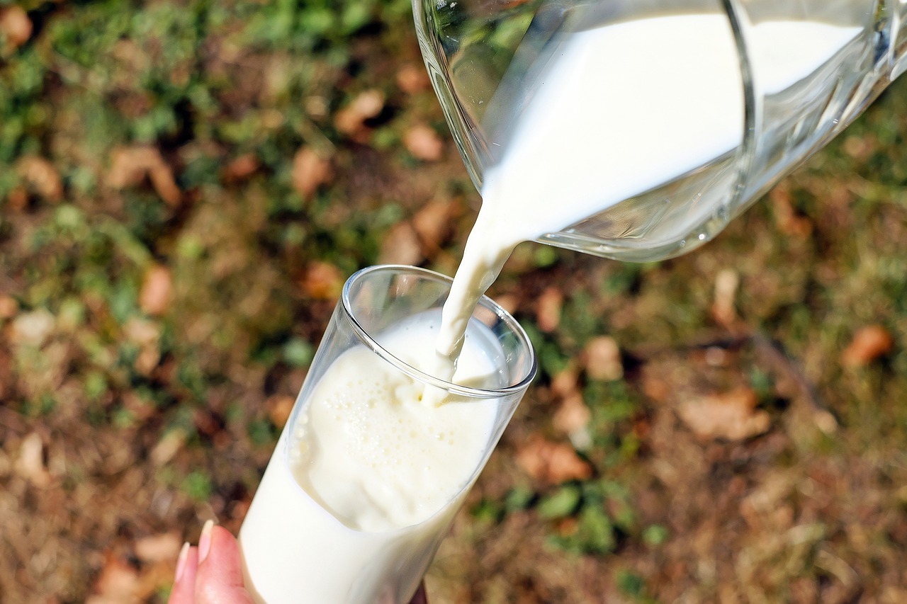 Mléčné výrobky ve stravě a při hubnutí